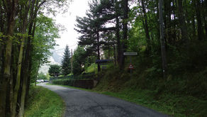 Serremarchetto - 2019