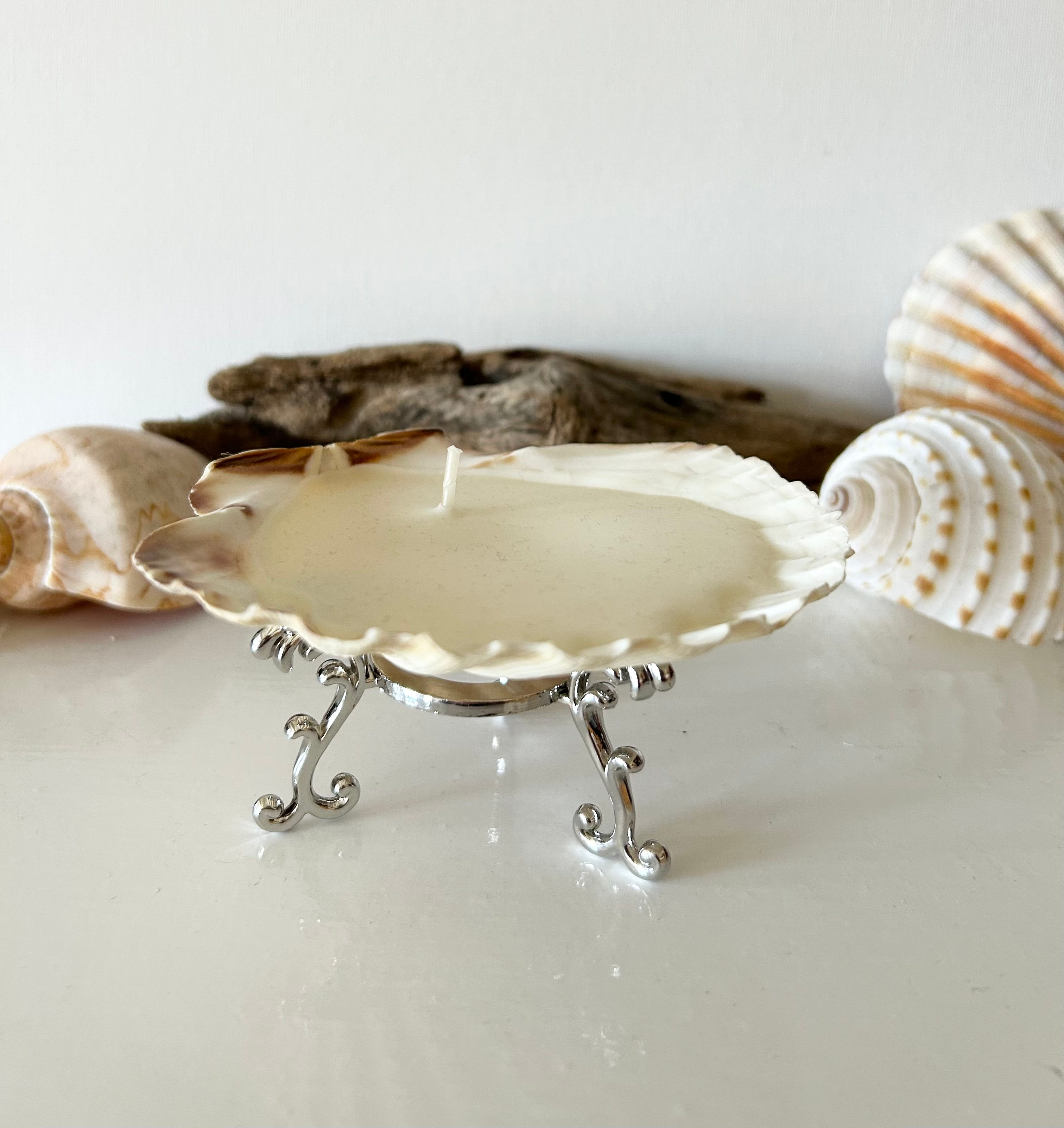 Scallop Shell hand poured candle