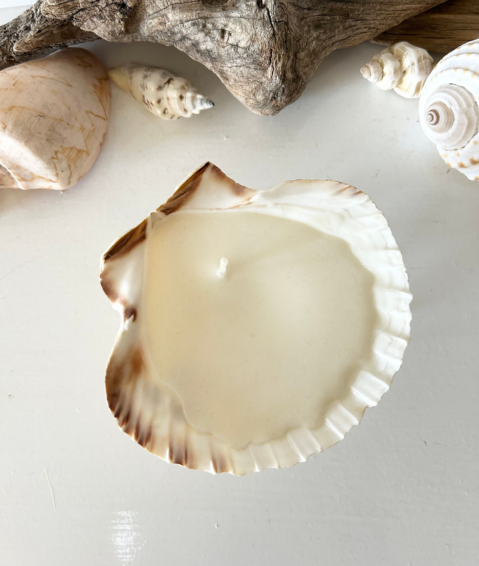 Thumbnail: Scallop Shell hand poured candle