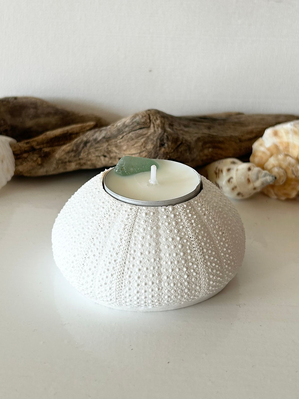 Thumbnail: Sea Urchin tea light candle holder