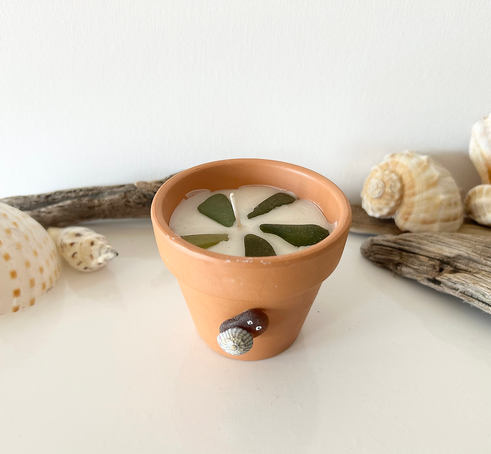 Brian snail plant pot candle