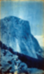 Cyanotype 06 copy