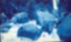 Cyanotype 10 copy