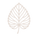Lynden Easton Leaf