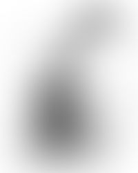 Tel Ragnar et ses fils