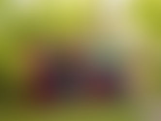 Termine für 2026 aktualisiert!!!