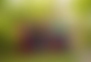 Termine für 2026 aktualisiert!!!