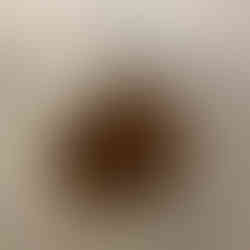 Coffee in filter