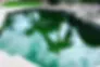 green pool.webp