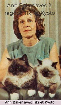 Photo de Ann Baker avec 2 ragdoll sur ses genoux
