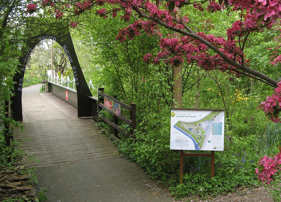 Pic 9 - Rev Richard Paten Nature Haven ....JPG