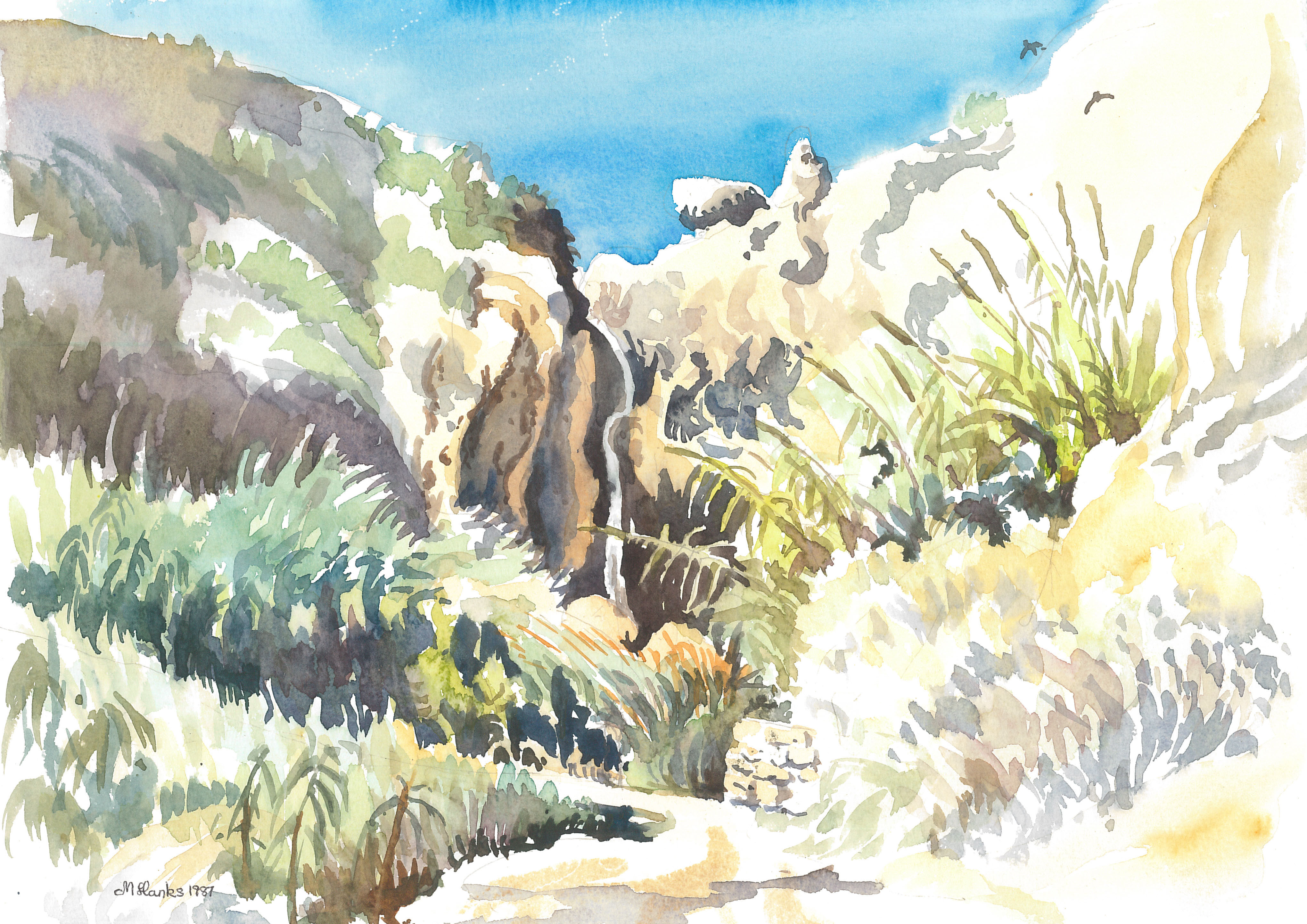 Ein Gedi Nature Reserve, 1987