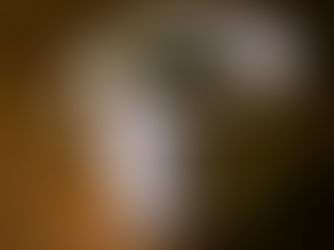 a white mug with coffee with the text "what good shall I do this day?" in all caps. the cup is resting on a wood grain surface. 