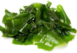 algue wakame