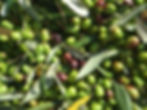 Olives