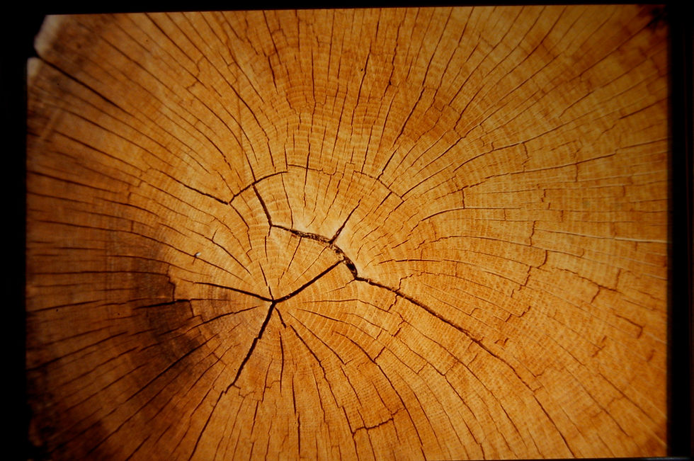 Miniature : Adonis  Crème parfumée pour le corps pour homme