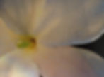 photos livres 011