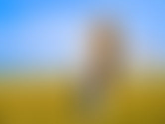 Optez pour un bien être intérieur 
et extérieur !