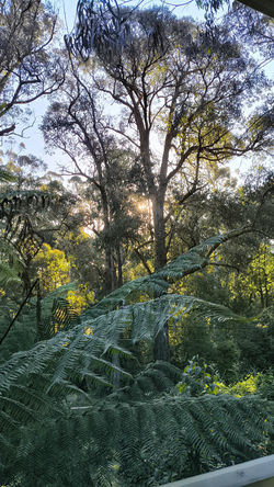 IMG_20251216_191036041_HDR