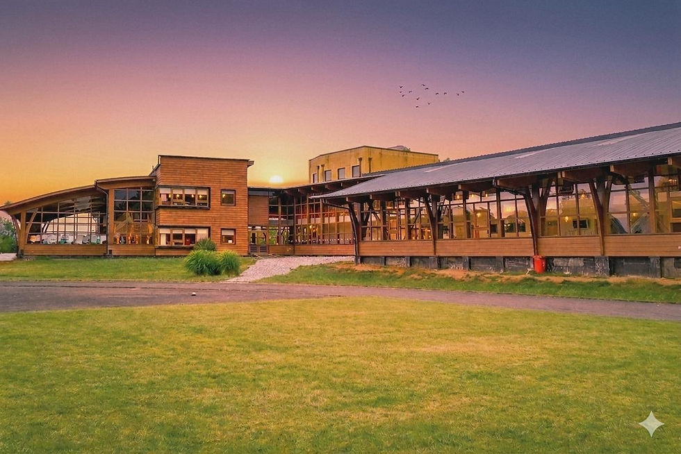 Colegio Alemán de Villarrica