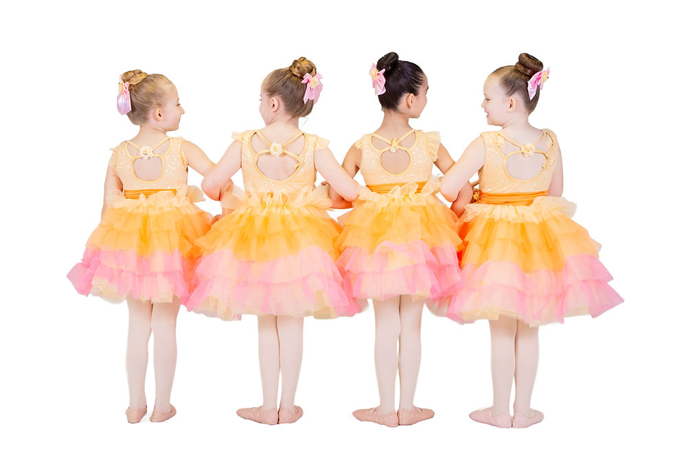 Introducing: Allegro Centre for the Performing Arts