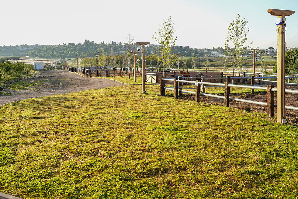 2026 04 14 Positive Farm  (31).jpg