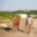 2026 04 16 Positive Farm (221)_edited.jpg