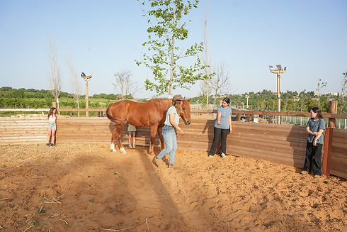 2026 04 16 Positive Farm (265).jpg
