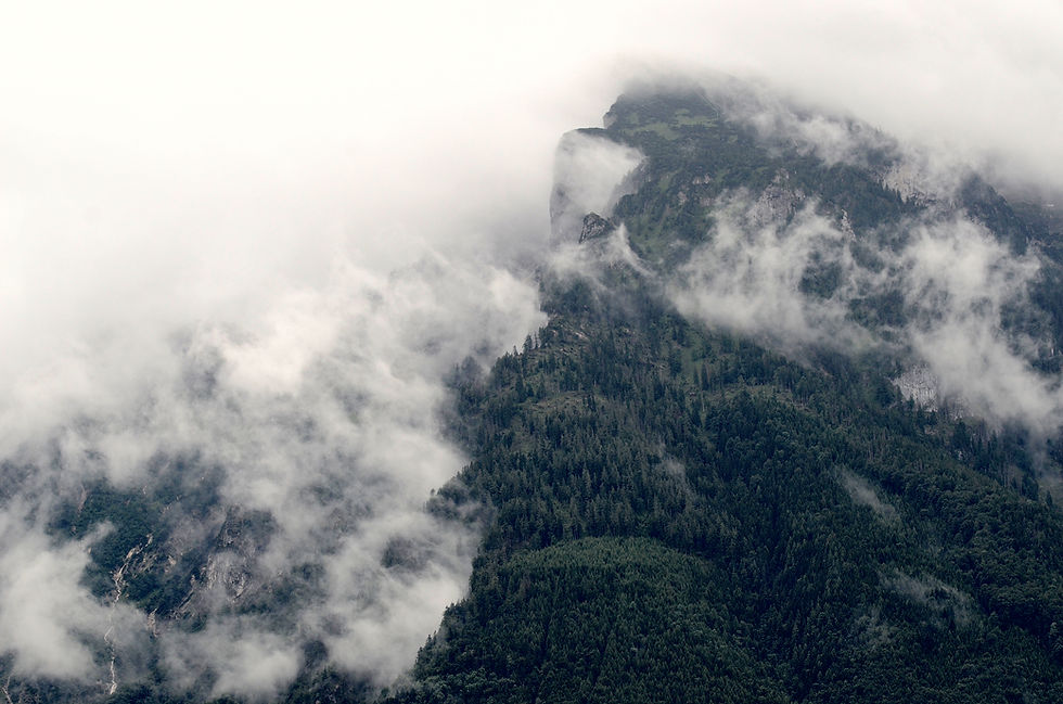 Misty Mountain View