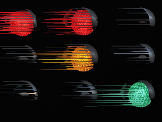 Nueva Zelanda lanza el Sistema de Semáforo.