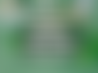 "Viajando a Nueva Zelanda: Guía Práctica para Traer Tus Medicinas"