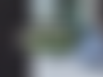 ¿Desempleado en Nueva Zelanda?