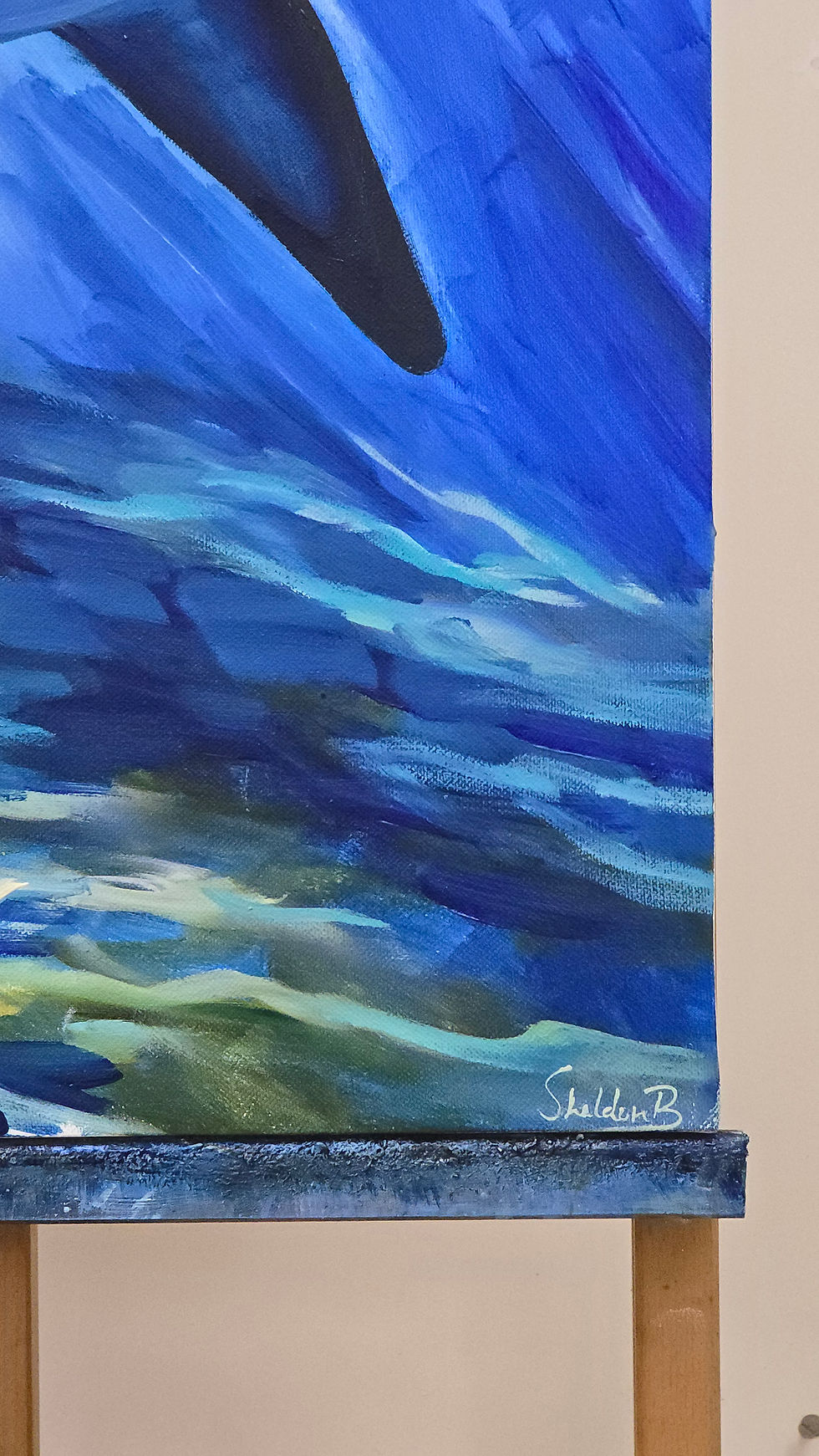 Thumbnail: The Ocean’s Apex
