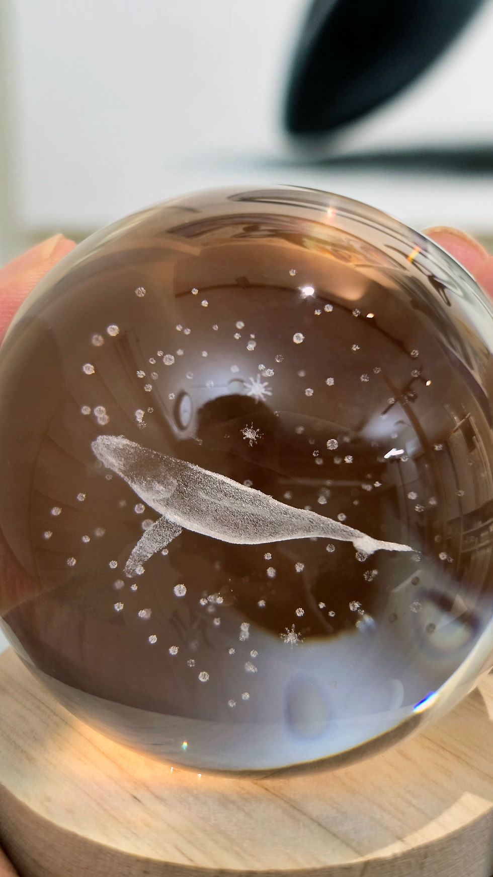 Thumbnail: Humpback Whale Lamp