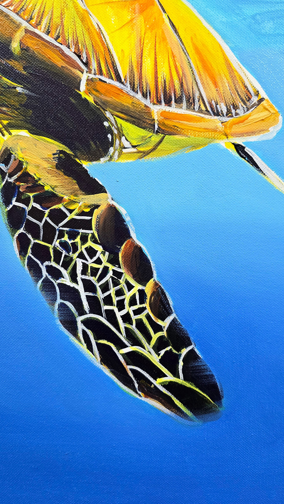 Thumbnail: Keeper of the Reef