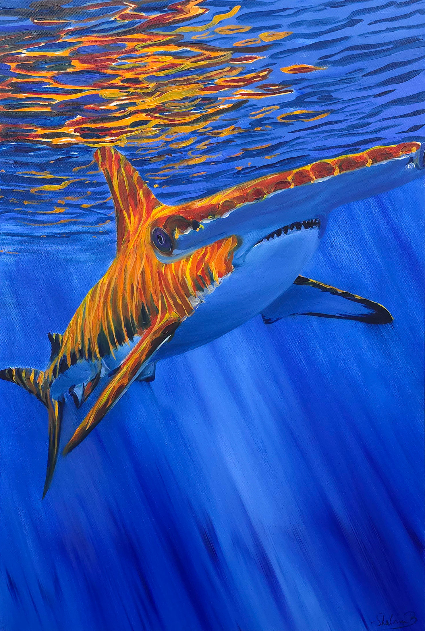 Glow of the Hammerhead