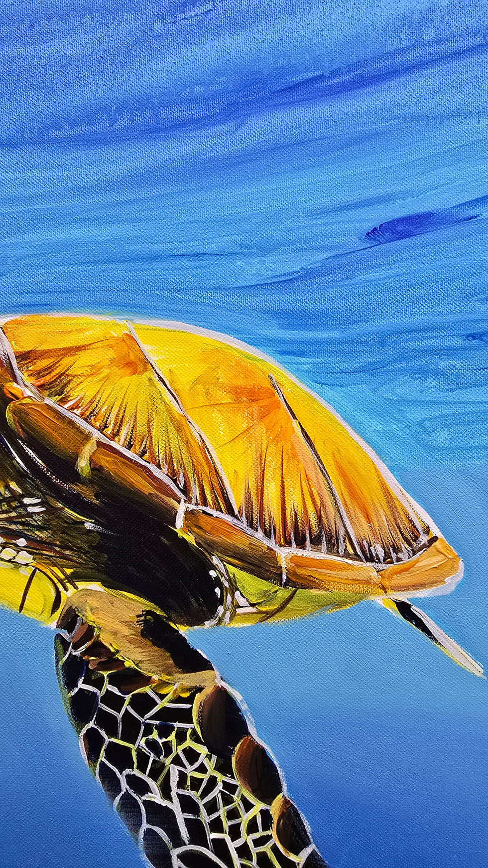 Thumbnail: Keeper of the Reef