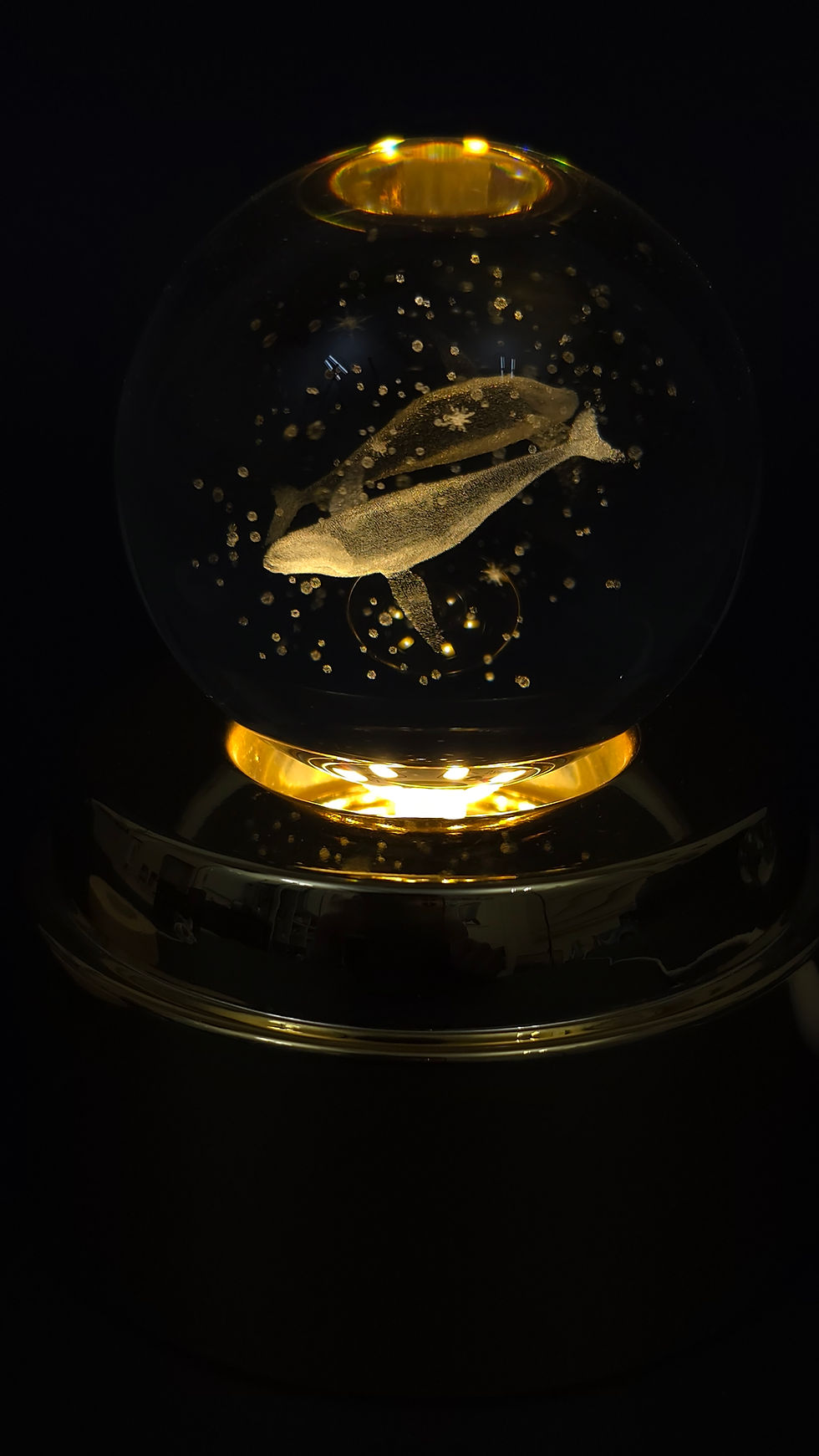 Thumbnail: Humpback Whale Lamp