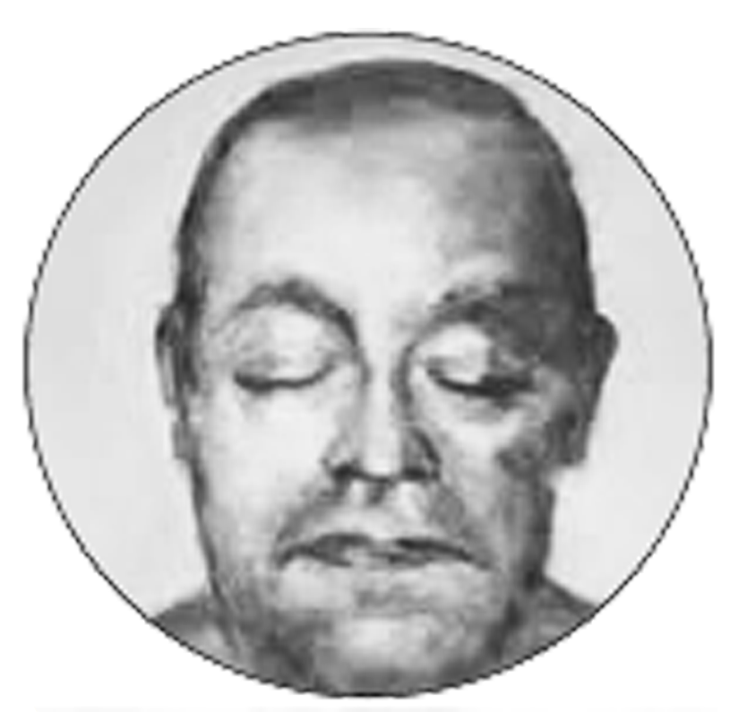 fRANCOIS VILLETTE.gif