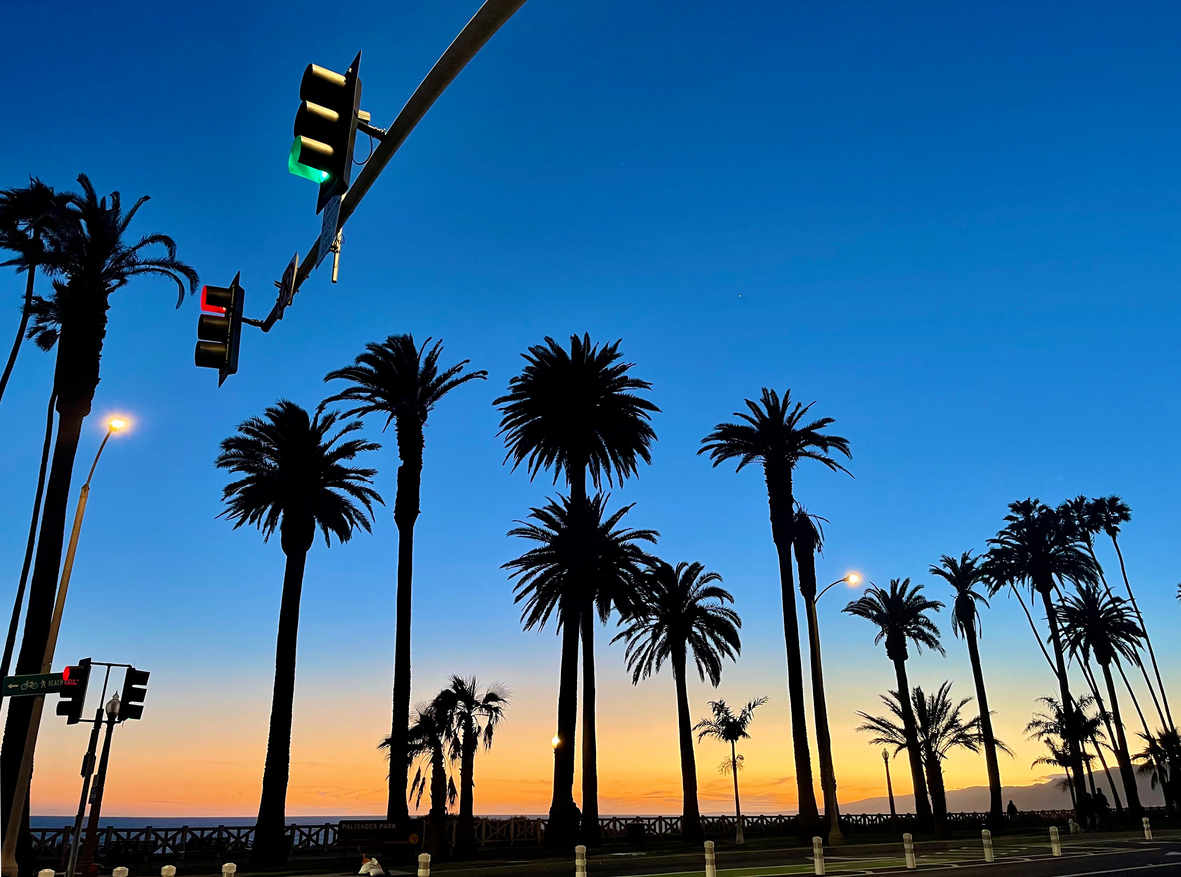 The Palms of Ocean Avenue Canvas Wrap 30 x 40