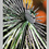 Thumbnail: What Thinking Looks Like Acrylic Print 40 X 50