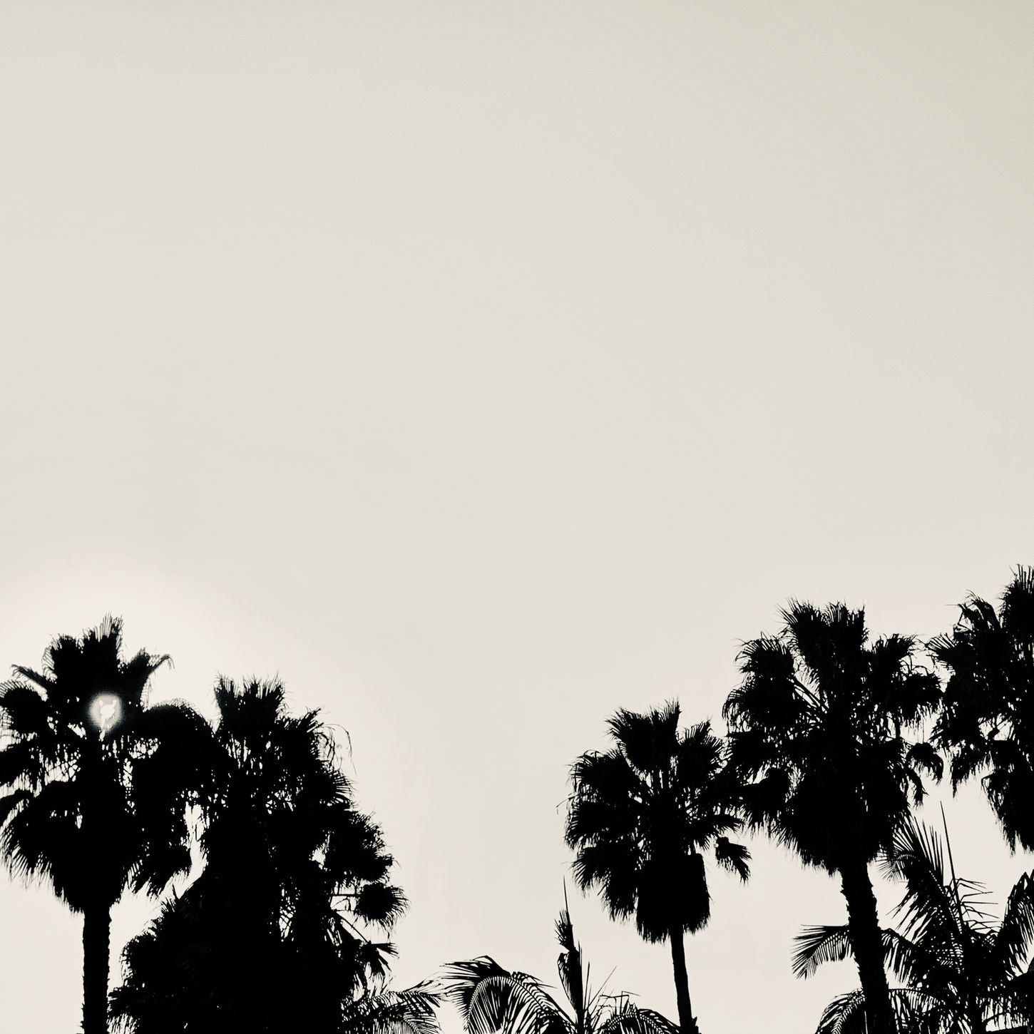 10 x 13 Canvas Wrap.   Santa Barbara has been dubbed "The American Riviera".  C'est la vie.
