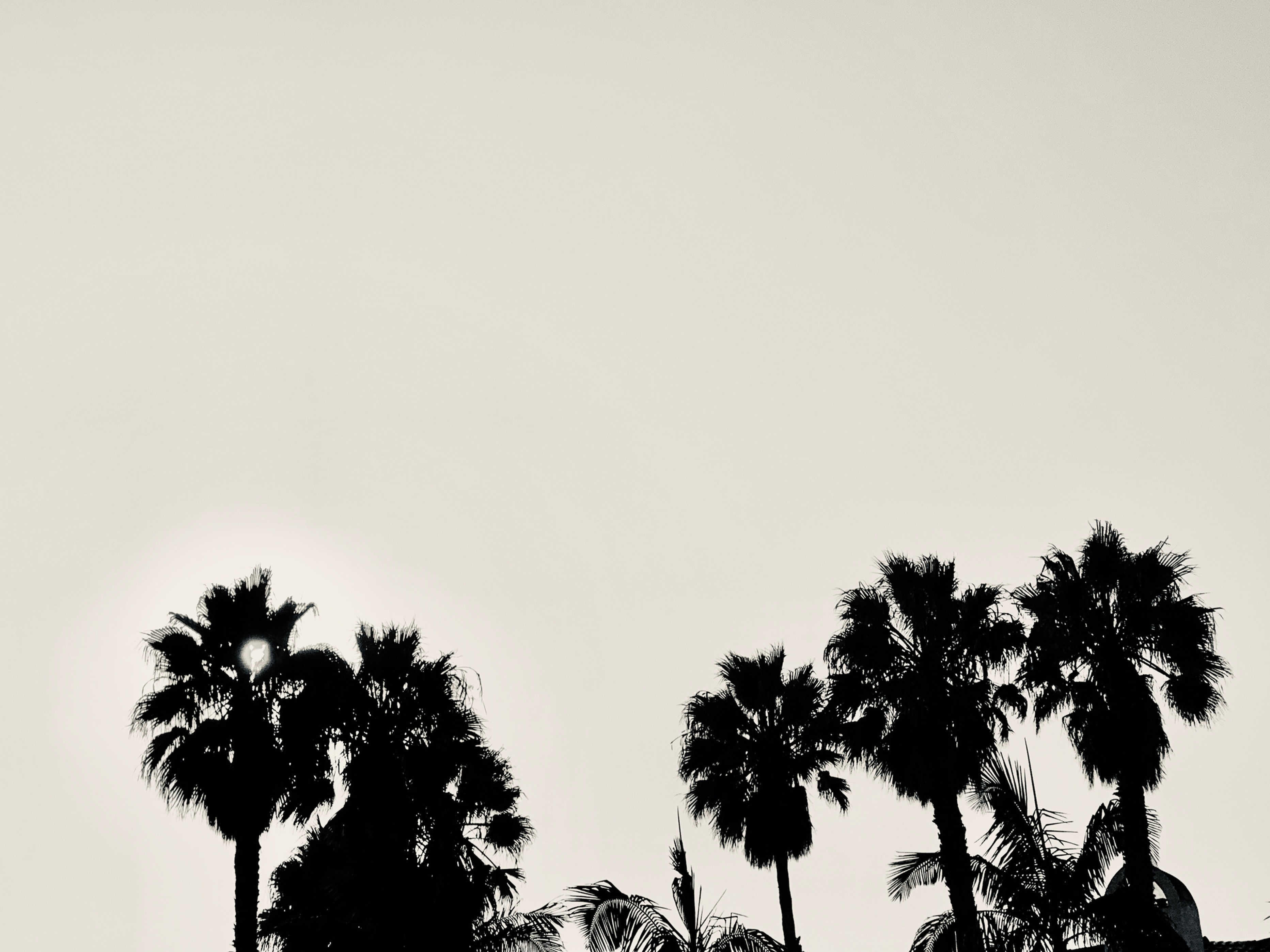 The American Riviera Reveal Frame 10 x 13
