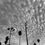 Thumbnail: Urban Palm Cluster Framed Photo Print 16 x 20