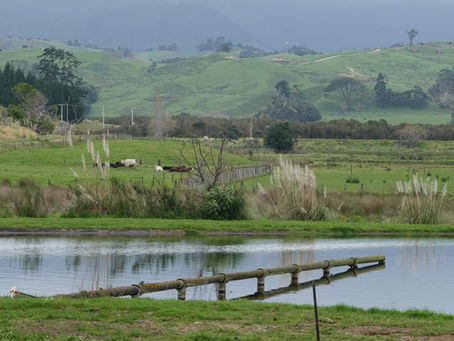 Report: Transforming Wastewater in the Far North 