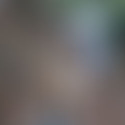 Wairoa Stream - new track addition