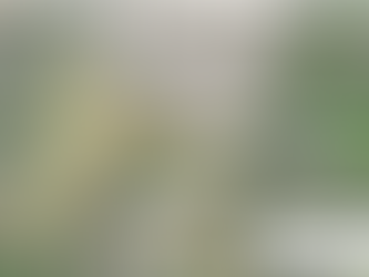 Temporary walking route to Hall Rd from Mill Lane