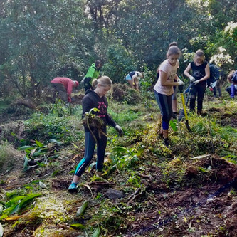 Wairoa Stream: Winter Update