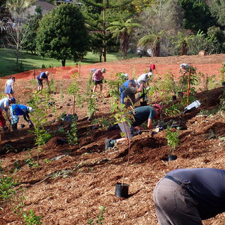 Wairoa Stream: Public Planting Day -Sunday 8 May - Pictures