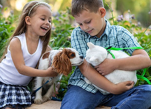 AdobeStock_425656505_Preview.jpeg